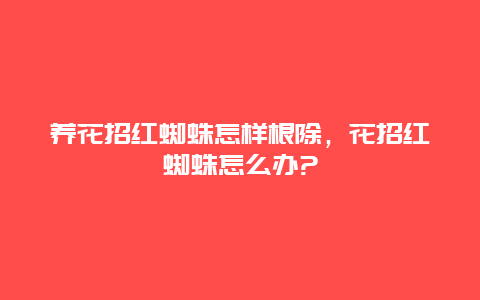 养花招红蜘蛛怎样根除，花招红蜘蛛怎么办?