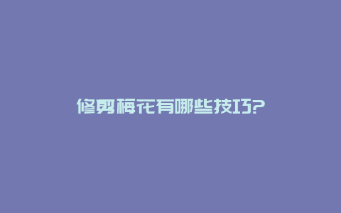 修剪梅花有哪些技巧?