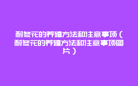 耐冬花的养殖方法和注意事项（耐冬花的养殖方法和注意事项图片）