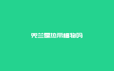 兜兰是热带植物吗