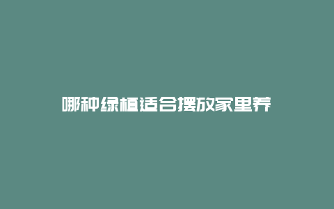 哪种绿植适合摆放家里养