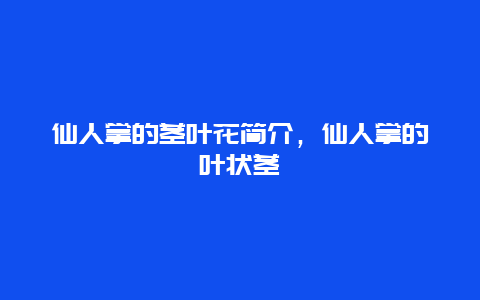 仙人掌的茎叶花简介，仙人掌的叶状茎