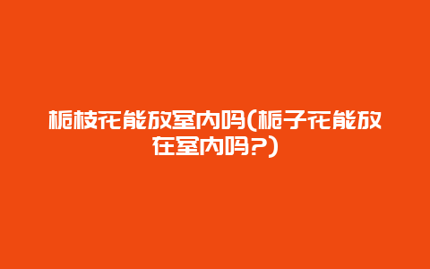 栀枝花能放室内吗(栀子花能放在室内吗?)