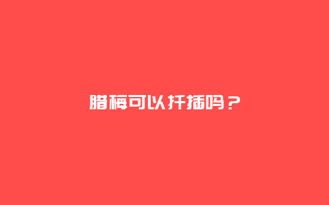 腊梅可以扦插吗？