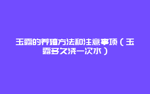 玉露的养殖方法和注意事项（玉露多久浇一次水）