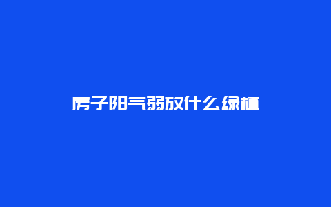 房子阳气弱放什么绿植