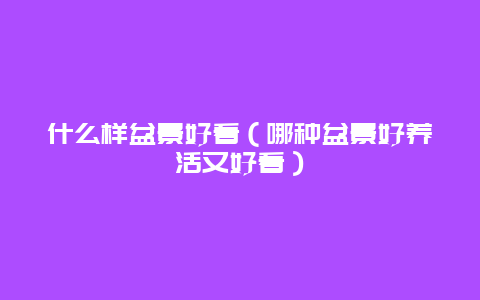 什么样盆景好看（哪种盆景好养活又好看）