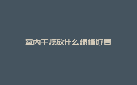 室内干燥放什么绿植好看