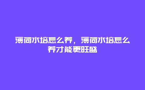 薄荷水培怎么养，薄荷水培怎么养才能更旺盛