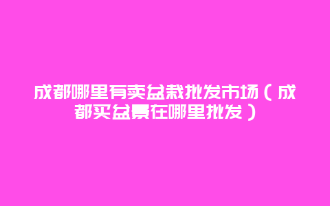 成都哪里有卖盆栽批发市场（成都买盆景在哪里批发）