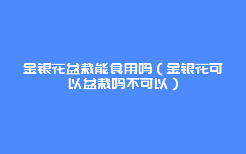 金银花盆栽能食用吗（金银花可以盆栽吗不可以）