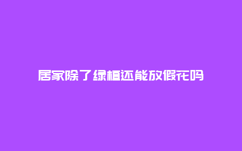 居家除了绿植还能放假花吗