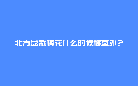 北方盆栽梅花什么时候移室外？