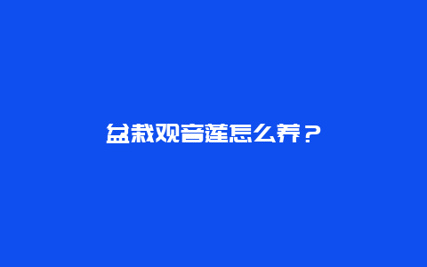 盆栽观音莲怎么养？