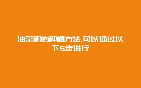 油茶树的种植方法,可以通过以下5步进行