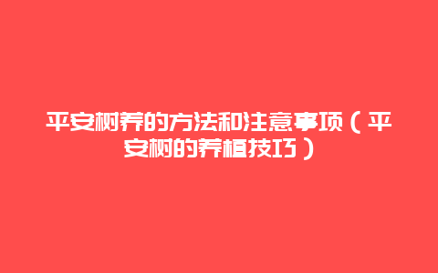 平安树养的方法和注意事项（平安树的养植技巧）