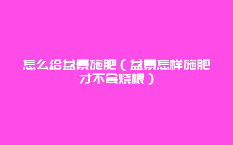 怎么给盆景施肥（盆景怎样施肥才不会烧根）