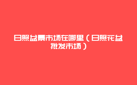 日照盆景市场在哪里（日照花盆批发市场）