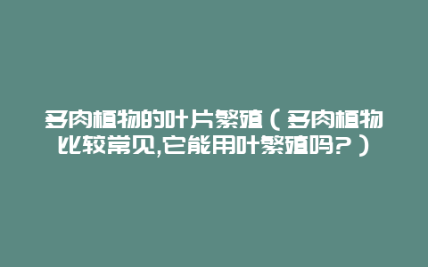 多肉植物的叶片繁殖（多肉植物比较常见,它能用叶繁殖吗?）