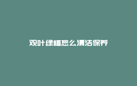 观叶绿植怎么清洁保养