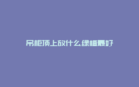 吊柜顶上放什么绿植最好