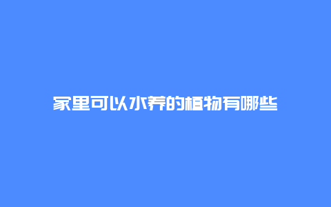 家里可以水养的植物有哪些