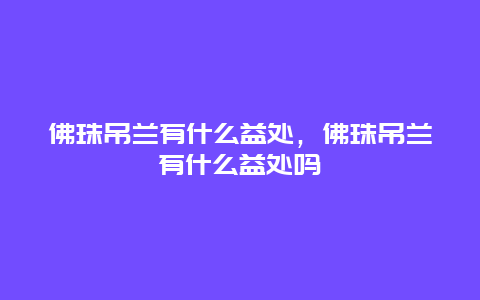 佛珠吊兰有什么益处，佛珠吊兰有什么益处吗