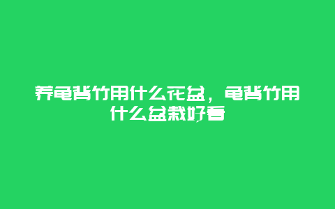 养龟背竹用什么花盆，龟背竹用什么盆栽好看