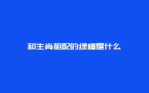 和生肖相配的绿植是什么