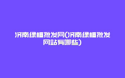 济南绿植批发网(济南绿植批发网站有哪些)