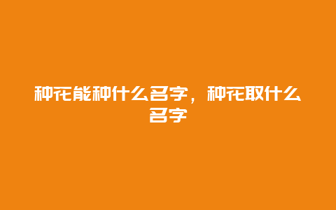 种花能种什么名字，种花取什么名字