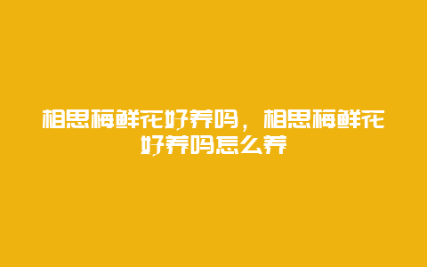 相思梅鲜花好养吗，相思梅鲜花好养吗怎么养