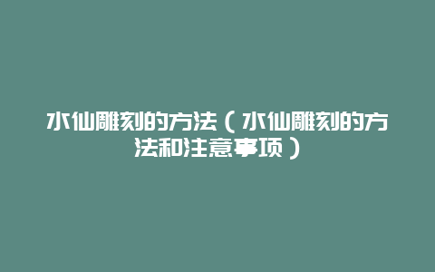 水仙雕刻的方法（水仙雕刻的方法和注意事项）