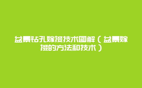 盆景钻孔嫁接技术图解（盆景嫁接的方法和技术）