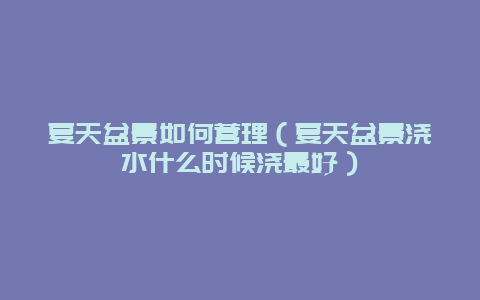 夏天盆景如何营理（夏天盆景浇水什么时候浇最好）