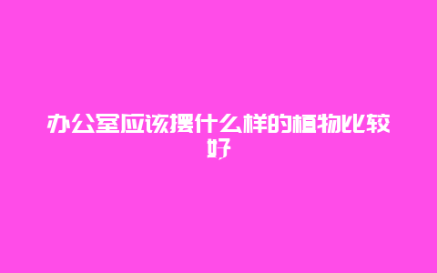 办公室应该摆什么样的植物比较好