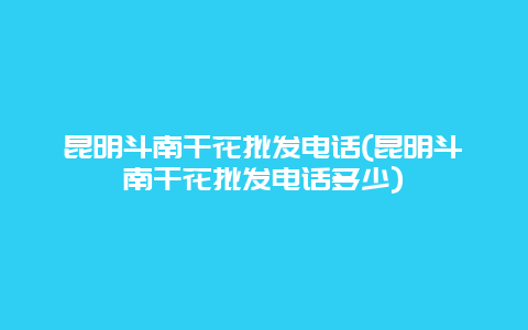 昆明斗南干花批发电话(昆明斗南干花批发电话多少)