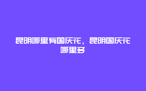 昆明哪里有国庆花，昆明国庆花哪里多