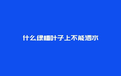 什么绿植叶子上不能洒水