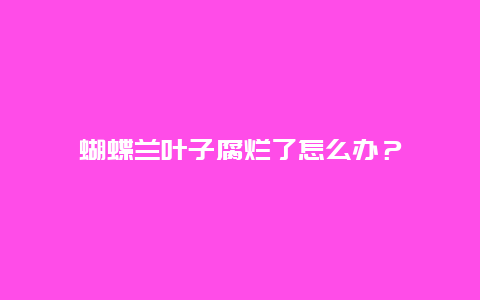 蝴蝶兰叶子腐烂了怎么办？