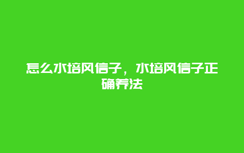 怎么水培风信子，水培风信子正确养法