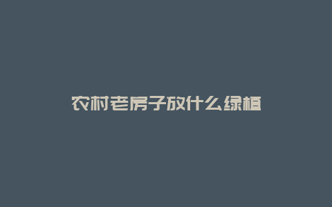 农村老房子放什么绿植