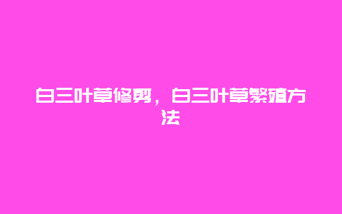 白三叶草修剪，白三叶草繁殖方法