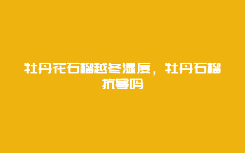 牡丹花石榴越冬湿度，牡丹石榴抗寒吗