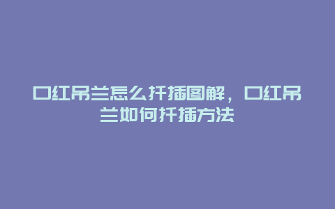 口红吊兰怎么扦插图解，口红吊兰如何扦插方法