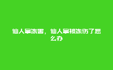 仙人掌冻害，仙人掌被冻伤了怎么办