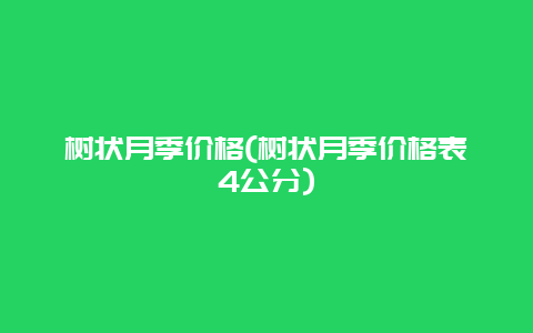 树状月季价格(树状月季价格表4公分)