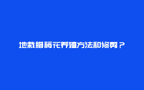 地栽腊梅花养殖方法和修剪？