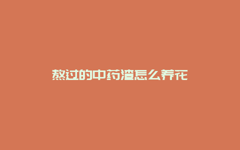 熬过的中药渣怎么养花