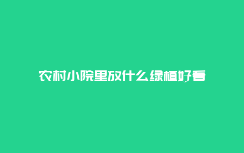 农村小院里放什么绿植好看